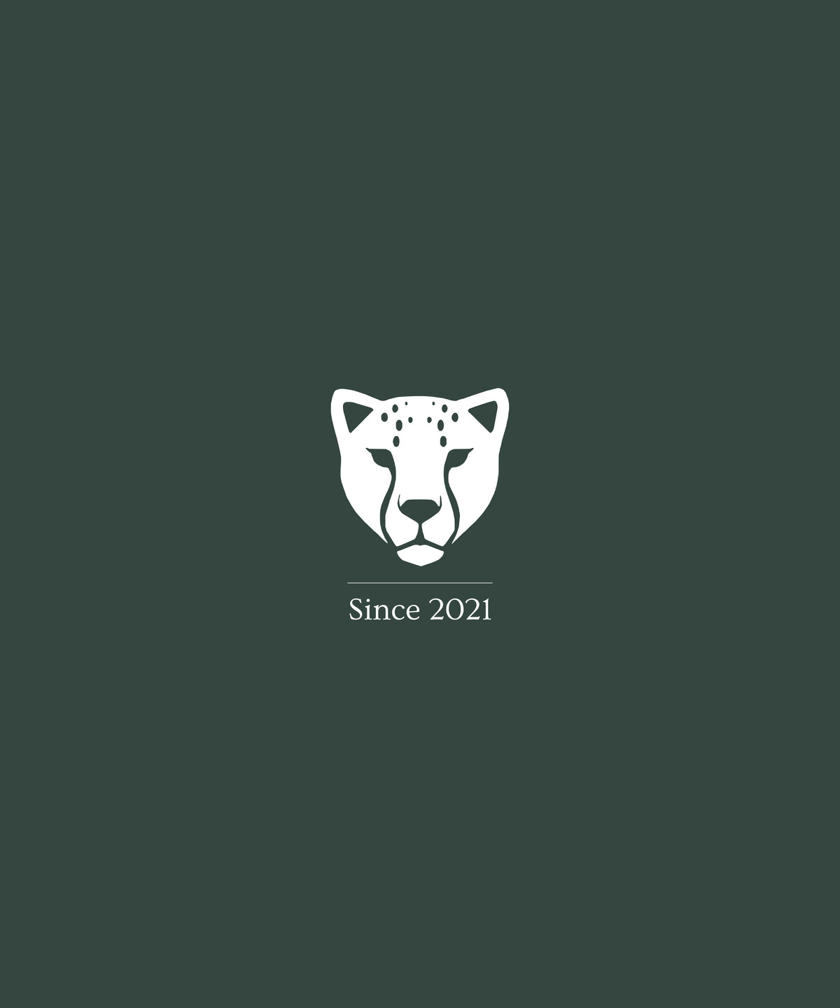 Minimalist white Wildride logo with the text "Since 2021" underneath, set against a dark green background.